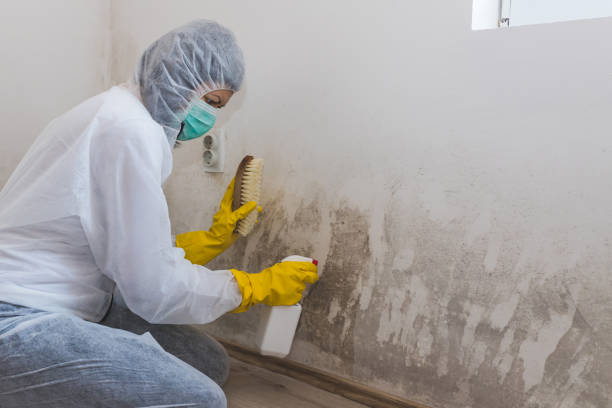Best Mold Testing  in Weimar, TX