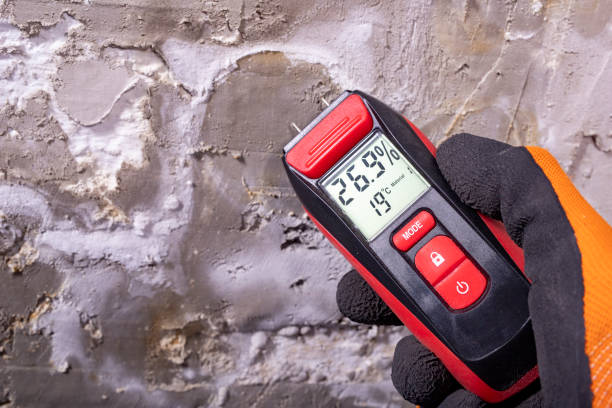 Best Black Mold Removal  in Weimar, TX