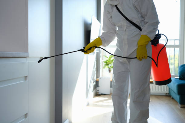 Best Mold Testing  in Weimar, TX