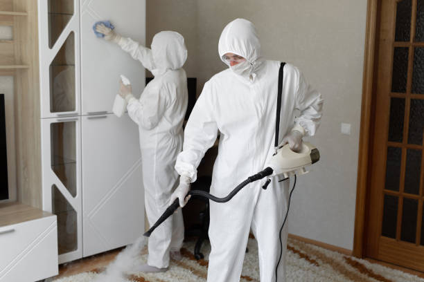 Best Commercial Mold Removal  in Weimar, TX