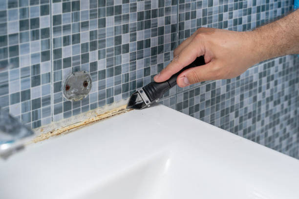 Best Affordable Mold Removal  in Weimar, TX