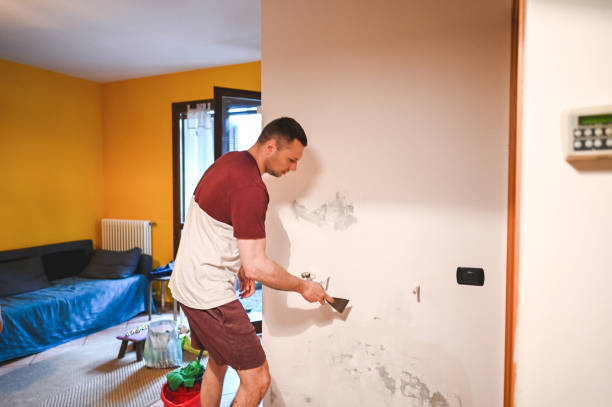 Best Emergency Mold Removal  in Weimar, TX